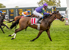 Kabella winning the Allen “Black Cat” Lacombe Stakes 3/10/18